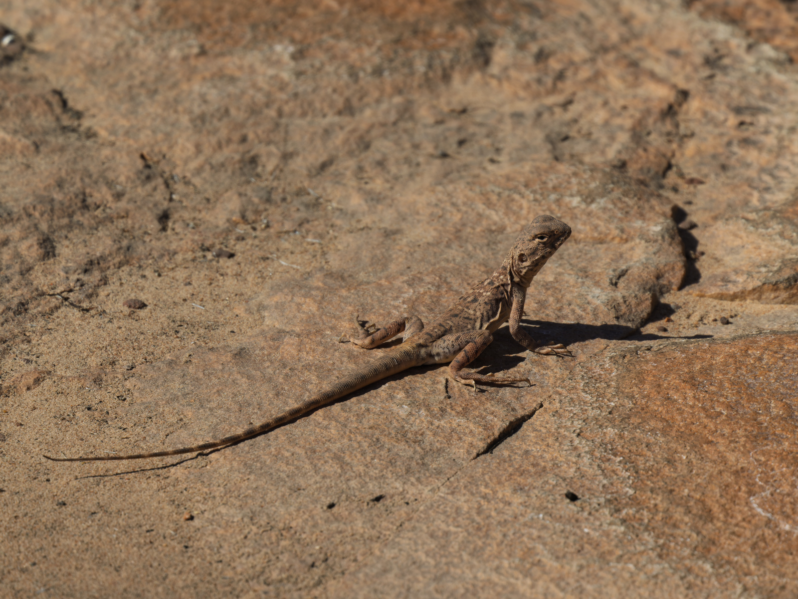 Click image for larger version

Name:	pF-5.jpg
Views:	27
Size:	1.43 MB
ID:	1025133