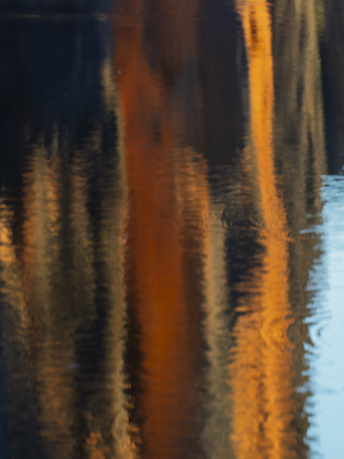 Click image for larger version

Name:	pH-5.jpg
Views:	352
Size:	755.8 KB
ID:	1025243