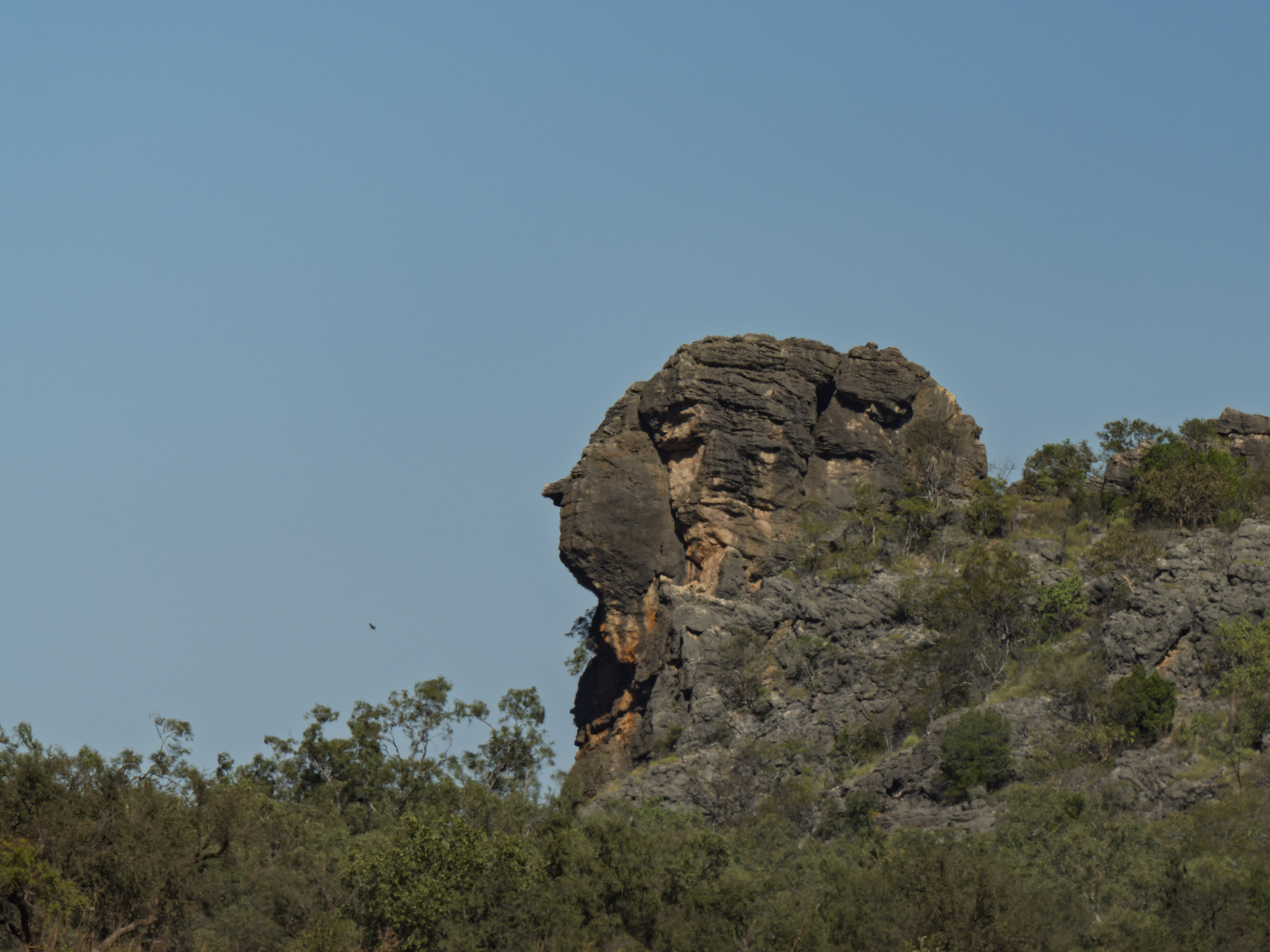 Click image for larger version

Name:	pH-3.jpg
Views:	41
Size:	1.02 MB
ID:	1025245