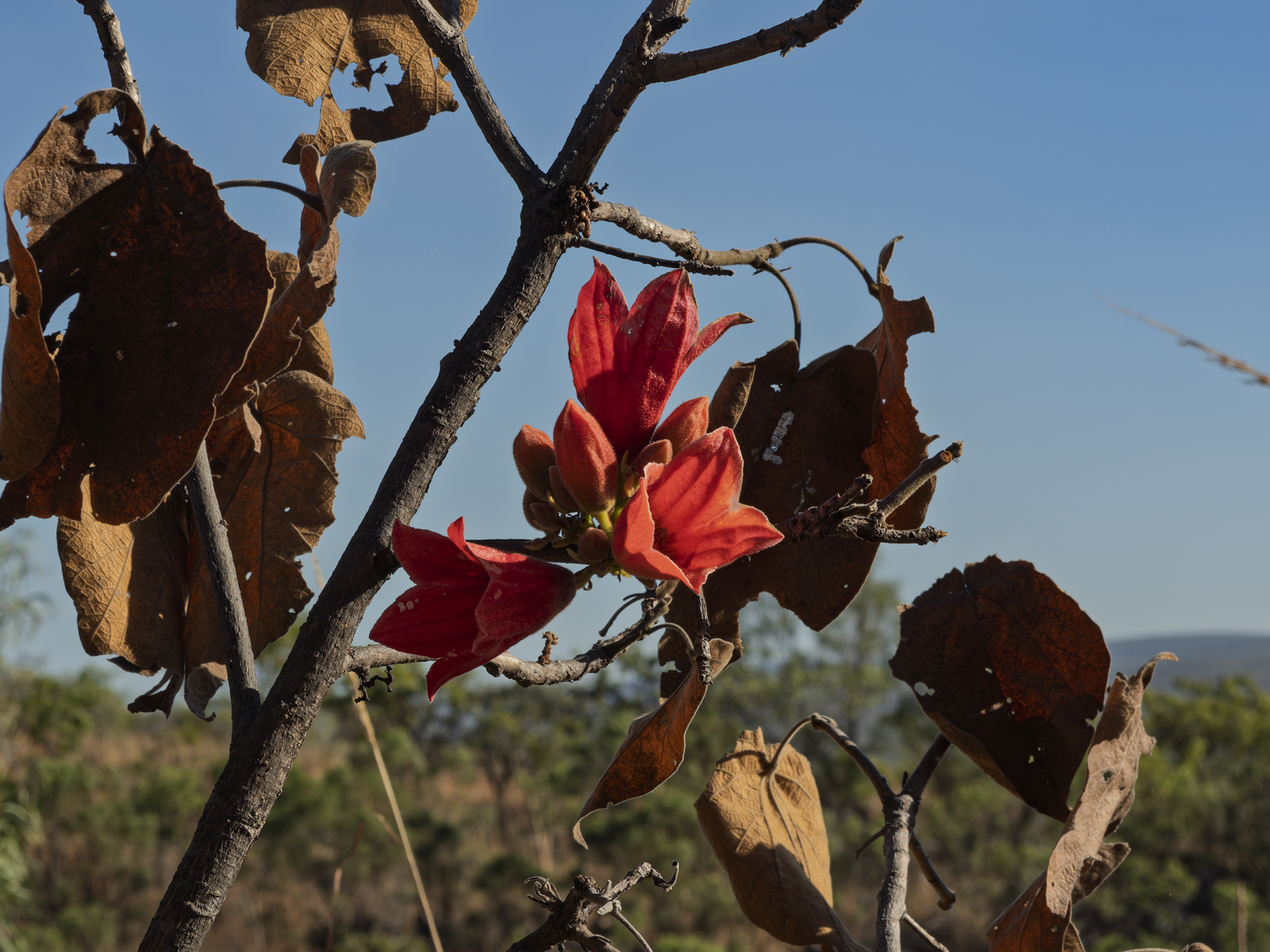 Click image for larger version

Name:	pH-1.jpg
Views:	44
Size:	1.15 MB
ID:	1025247