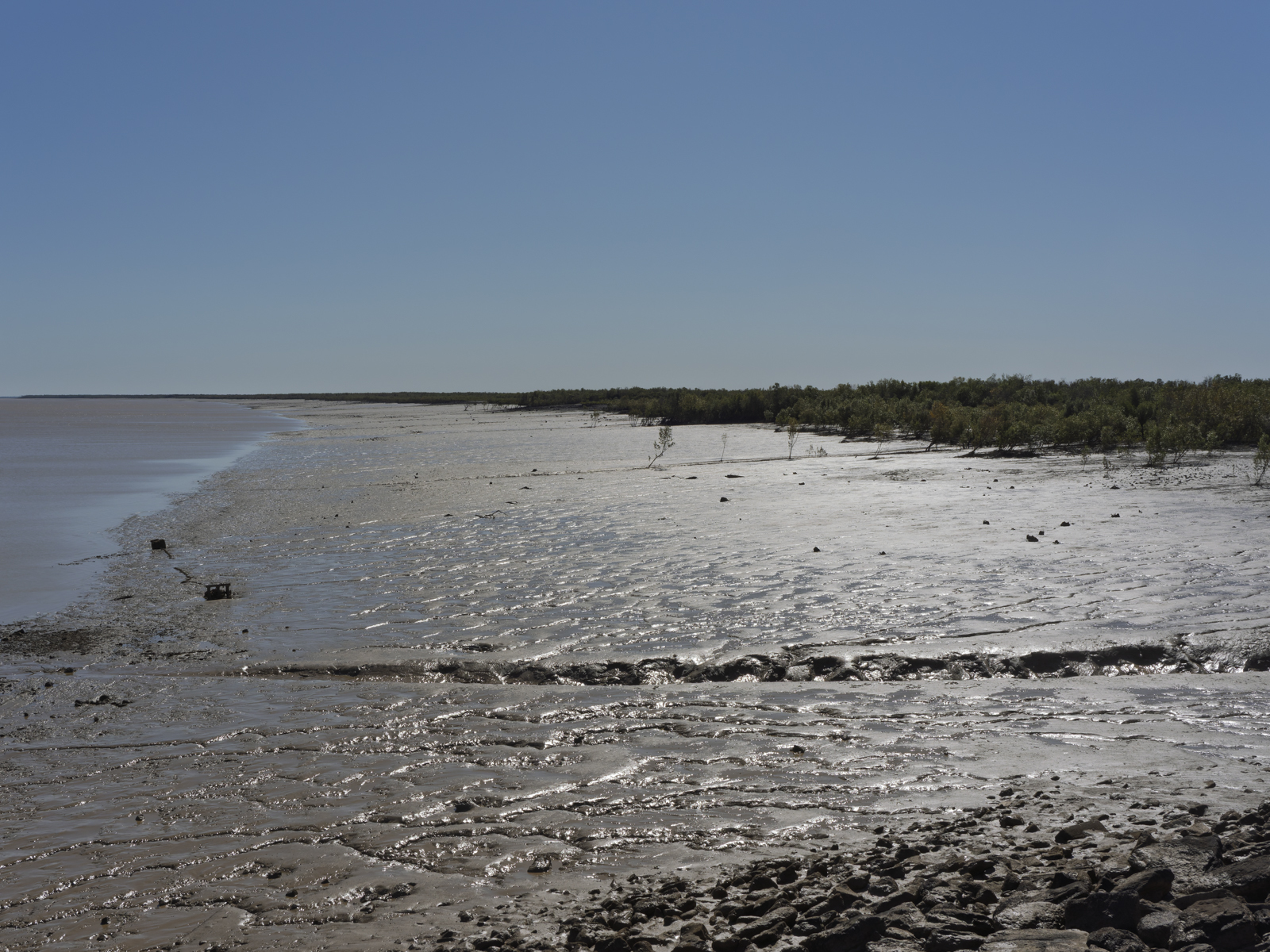 Click image for larger version

Name:	pH-8.jpg
Views:	45
Size:	1.25 MB
ID:	1025248