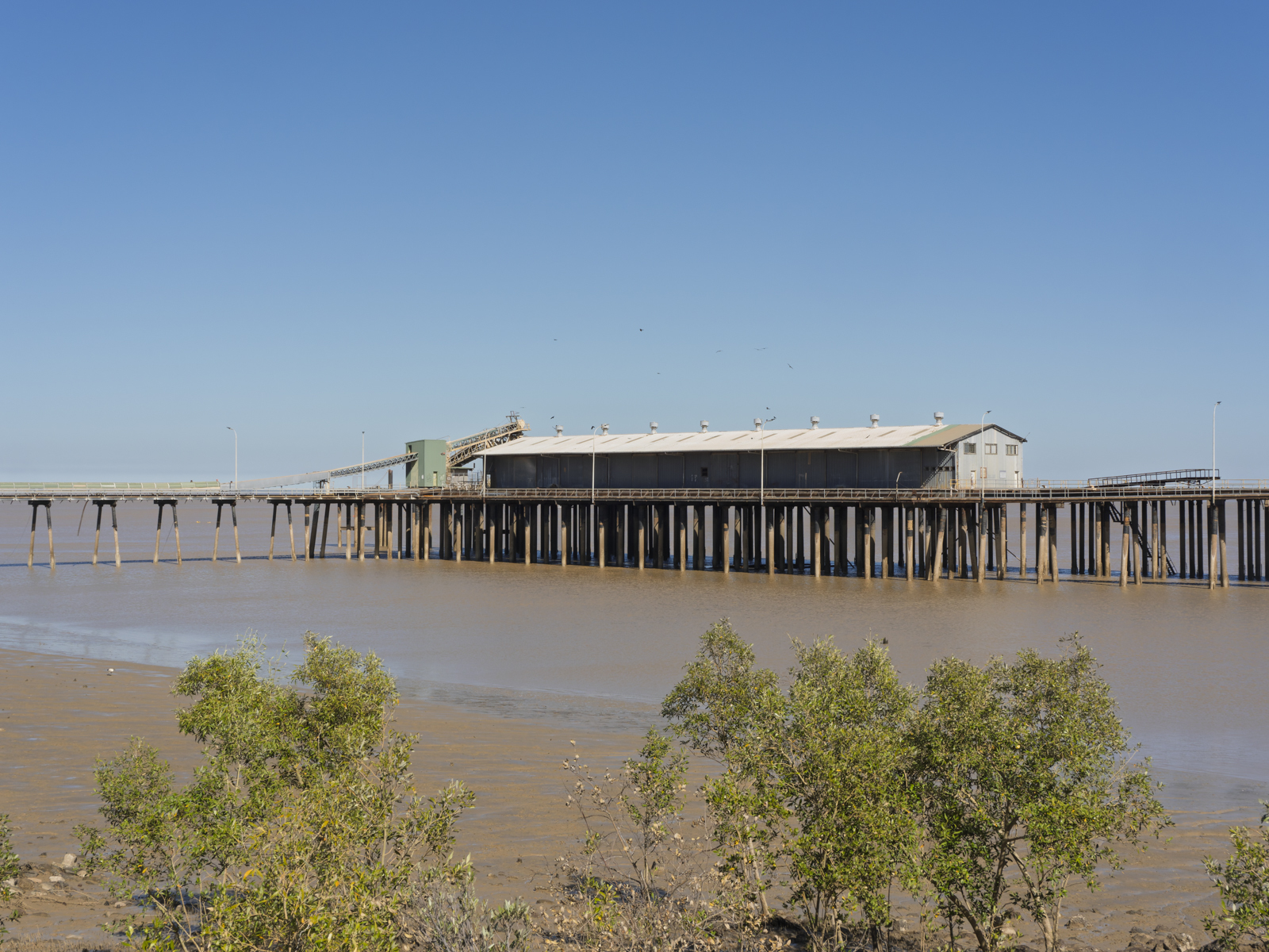 Click image for larger version

Name:	pH-7.jpg
Views:	43
Size:	1.32 MB
ID:	1025249