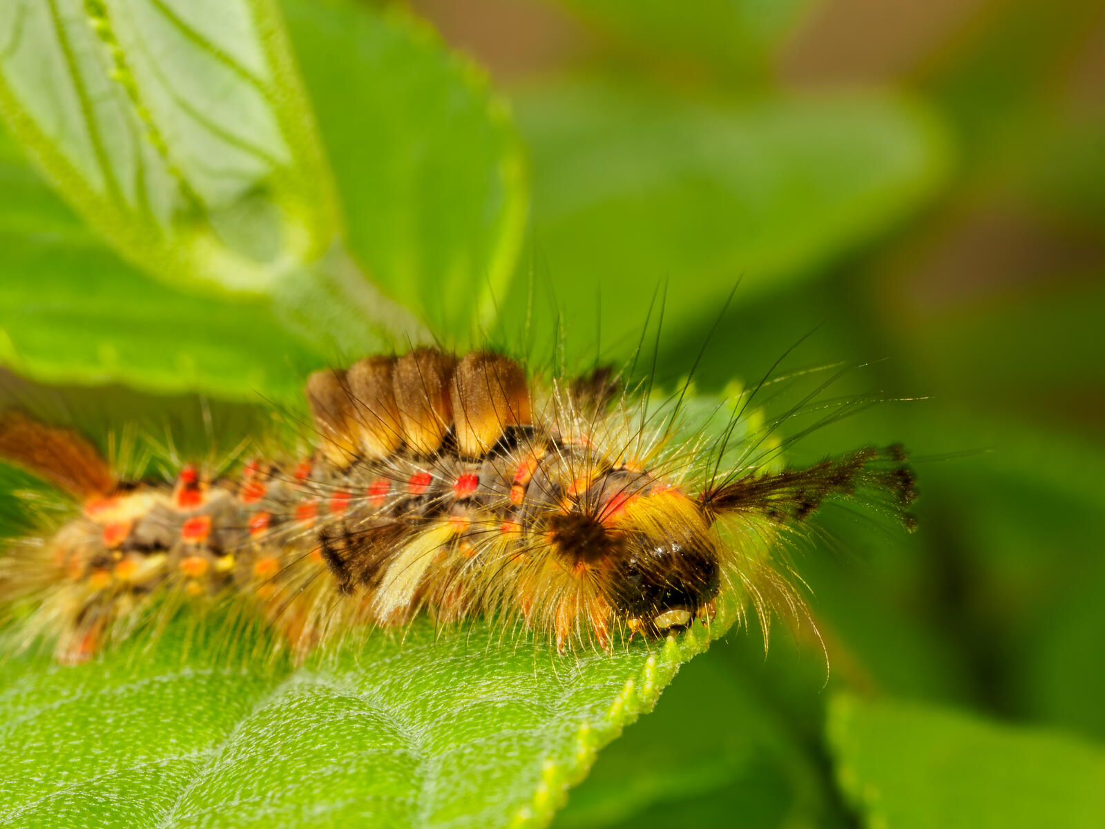 Click image for larger version

Name:	P7078556.jpg
Views:	49
Size:	281.7 KB
ID:	1025405