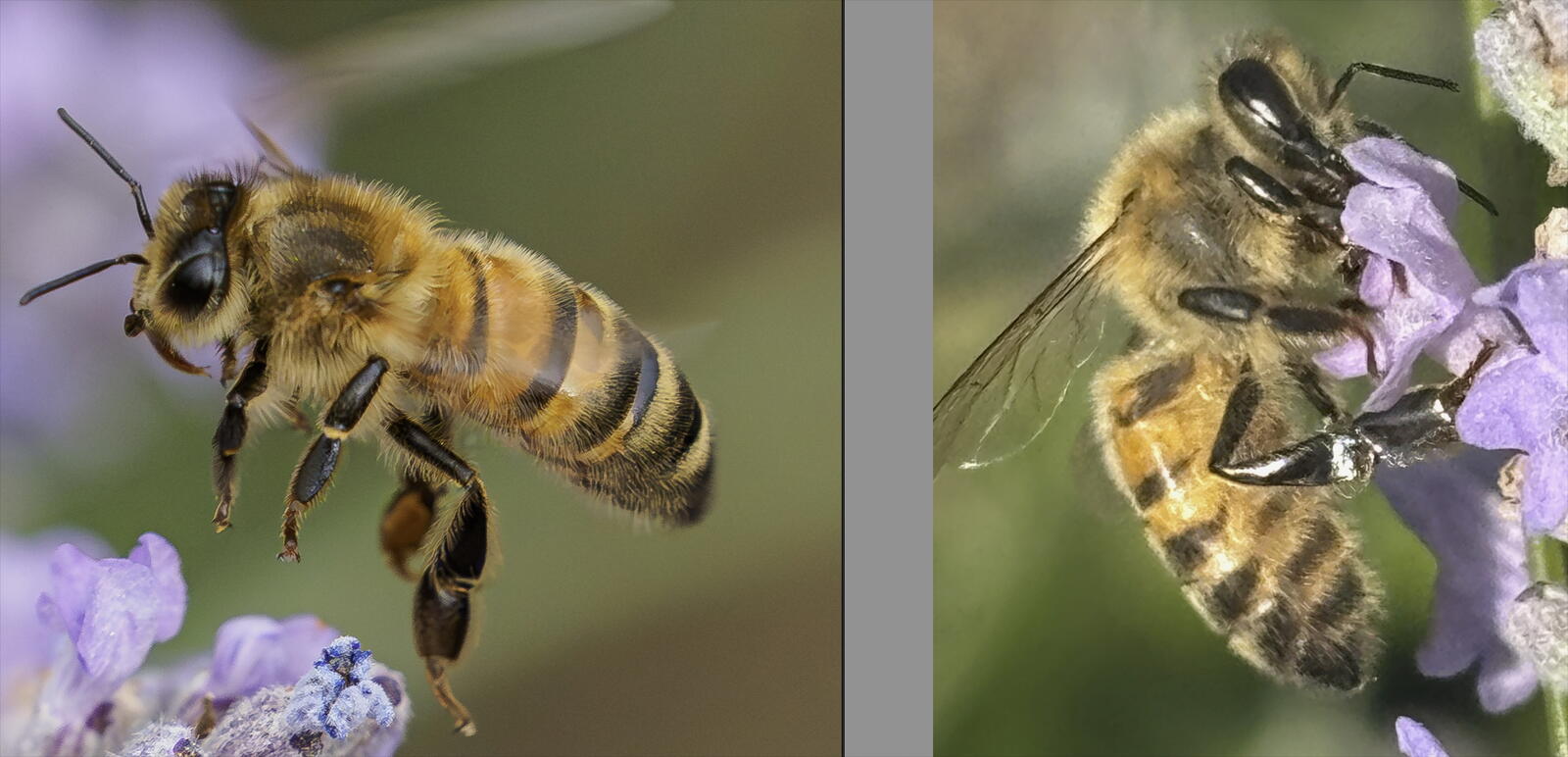 Click image for larger version

Name:	Screenshot 2025-08-13 at 12.52.26.jpg
Views:	168
Size:	138.8 KB
ID:	1028777