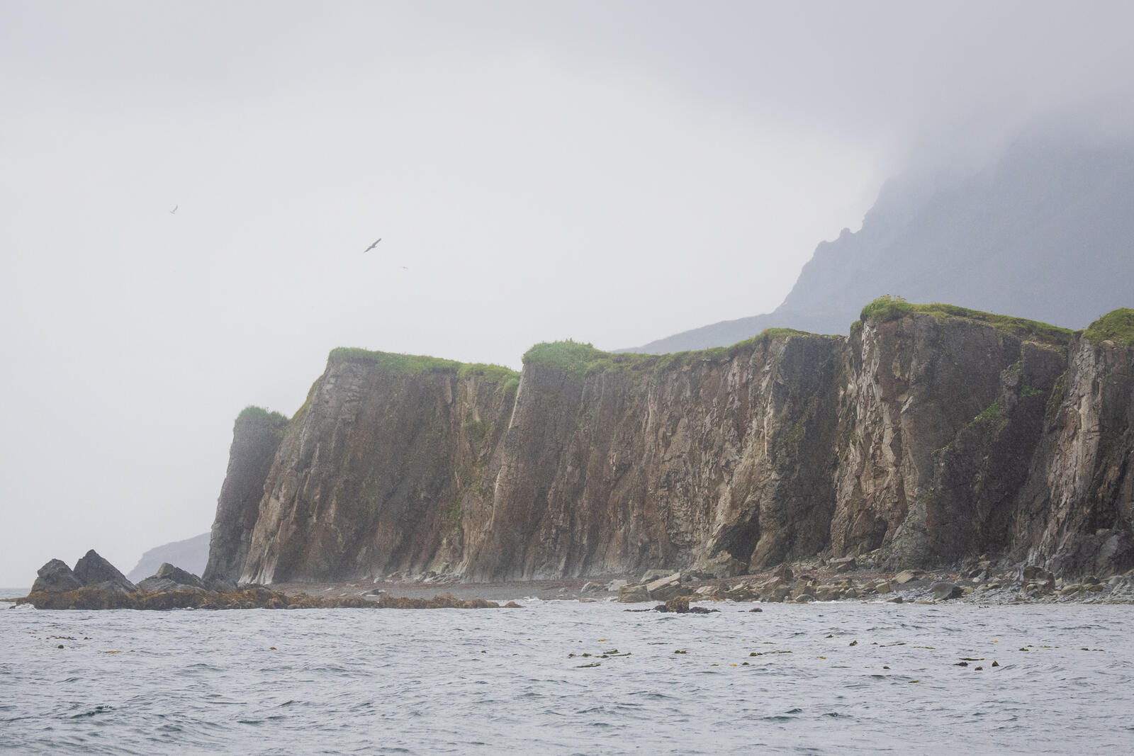 Click image for larger version

Name:	UK_AniaUnga-8021734.jpg
Views:	402
Size:	240.0 KB
ID:	1029371