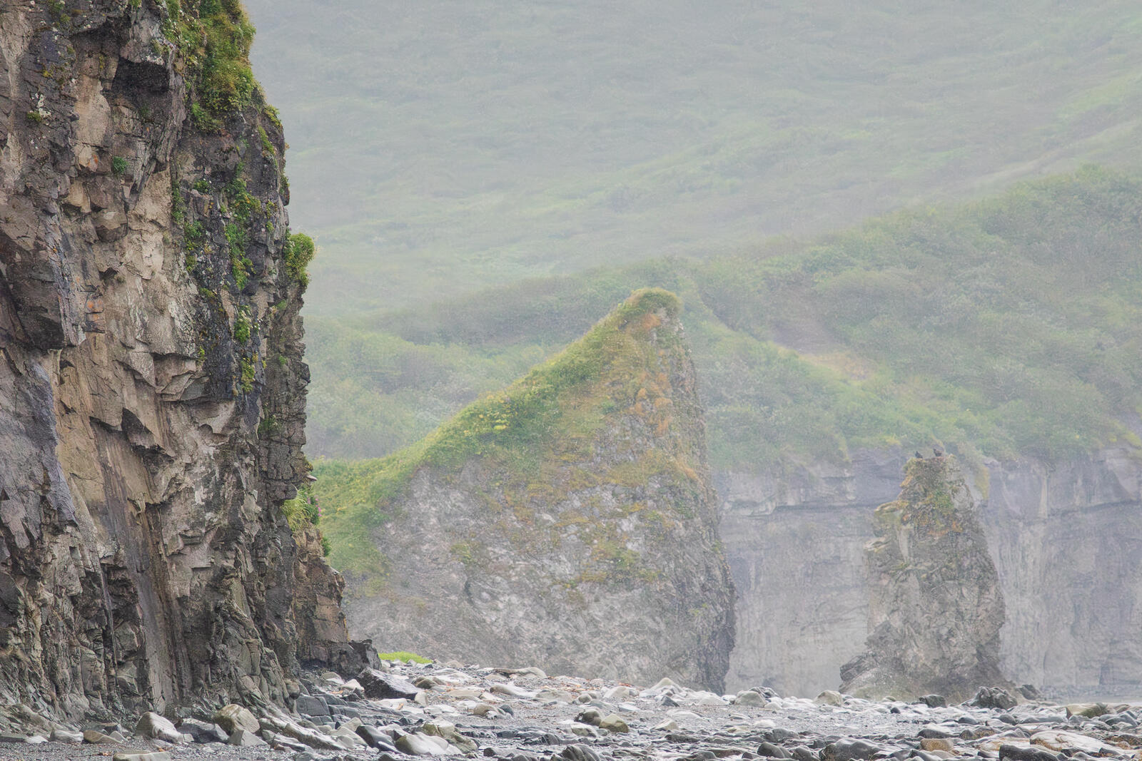 Click image for larger version

Name:	UK_AniaUnga-8029302.jpg
Views:	69
Size:	388.8 KB
ID:	1029372