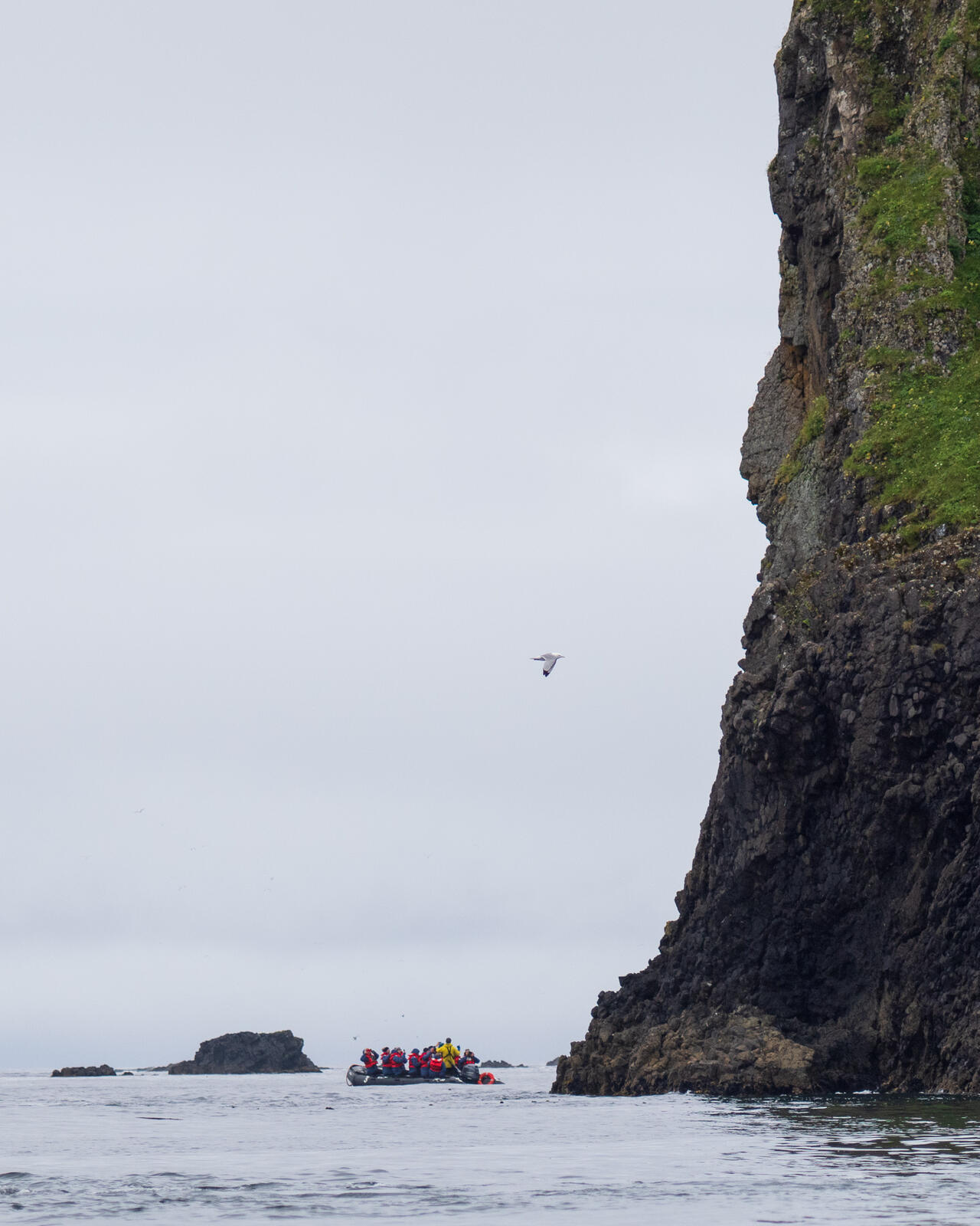 Click image for larger version

Name:	UK_AniaUnga-8039835.jpg
Views:	72
Size:	209.2 KB
ID:	1029380