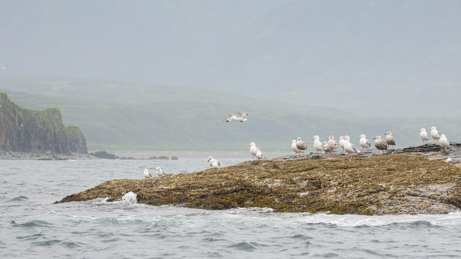 Click image for larger version

Name:	UK_AniaUnga-8021681.jpg
Views:	68
Size:	253.4 KB
ID:	1029375