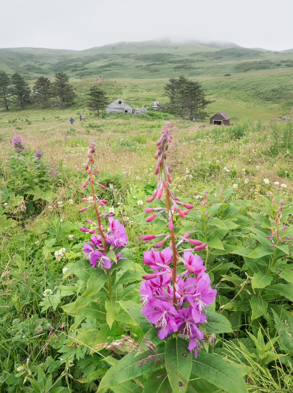 Click image for larger version

Name:	UK_AniaUnga-.jpg
Views:	66
Size:	567.2 KB
ID:	1029378