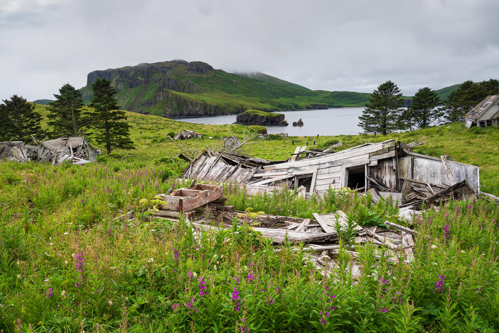 Click image for larger version

Name:	UK_AniaUnga--2.jpg
Views:	68
Size:	598.4 KB
ID:	1029379