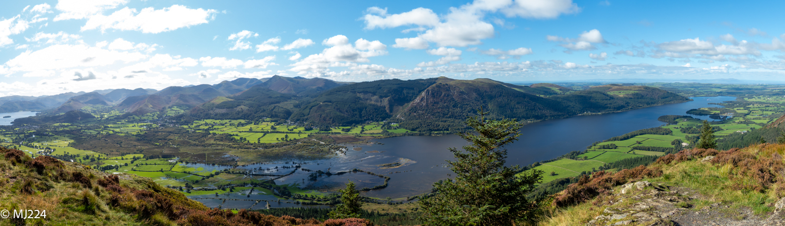 Click image for larger version

Name:	P9210083-DxO_DeepPRIME XD2s-Pano.jpg
Views:	1
Size:	823.2 KB
ID:	1032418