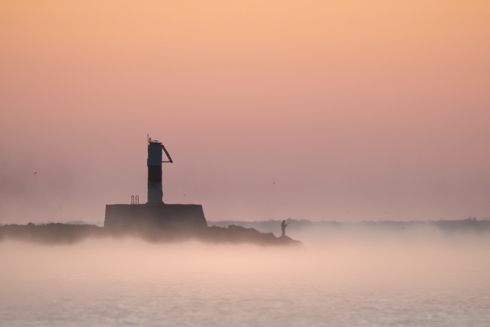 Click image for larger version  Name:	_A264595.jpg Views:	0 Size:	313.8 KB ID:	1035526