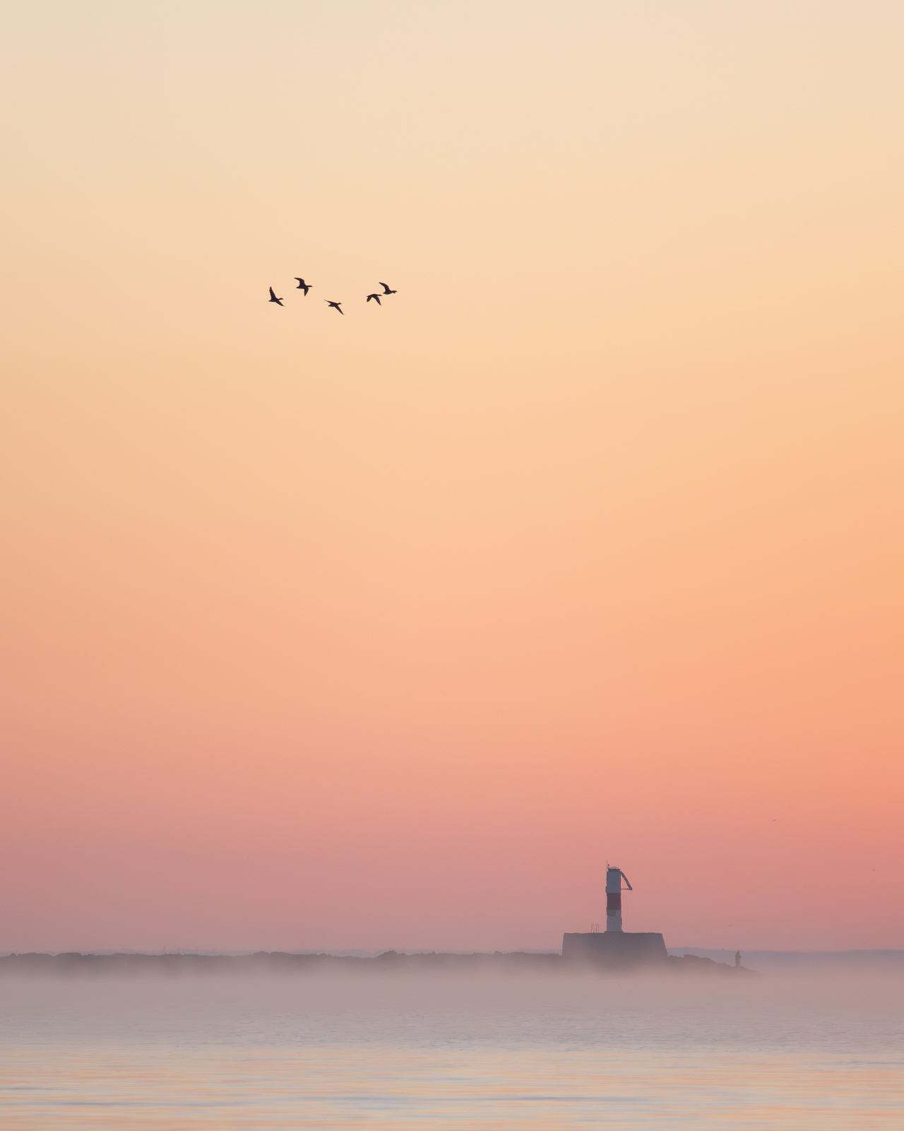 Click image for larger version  Name:	_A265156.jpg Views:	0 Size:	343.3 KB ID:	1035527