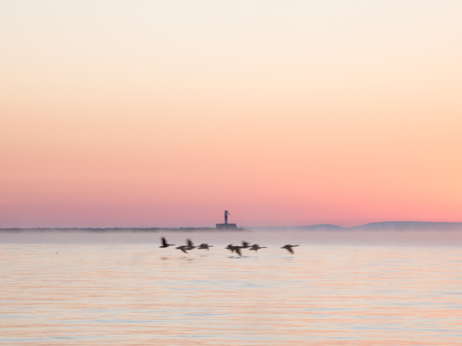 Click image for larger version  Name:	_A260510.jpg Views:	0 Size:	485.9 KB ID:	1035528