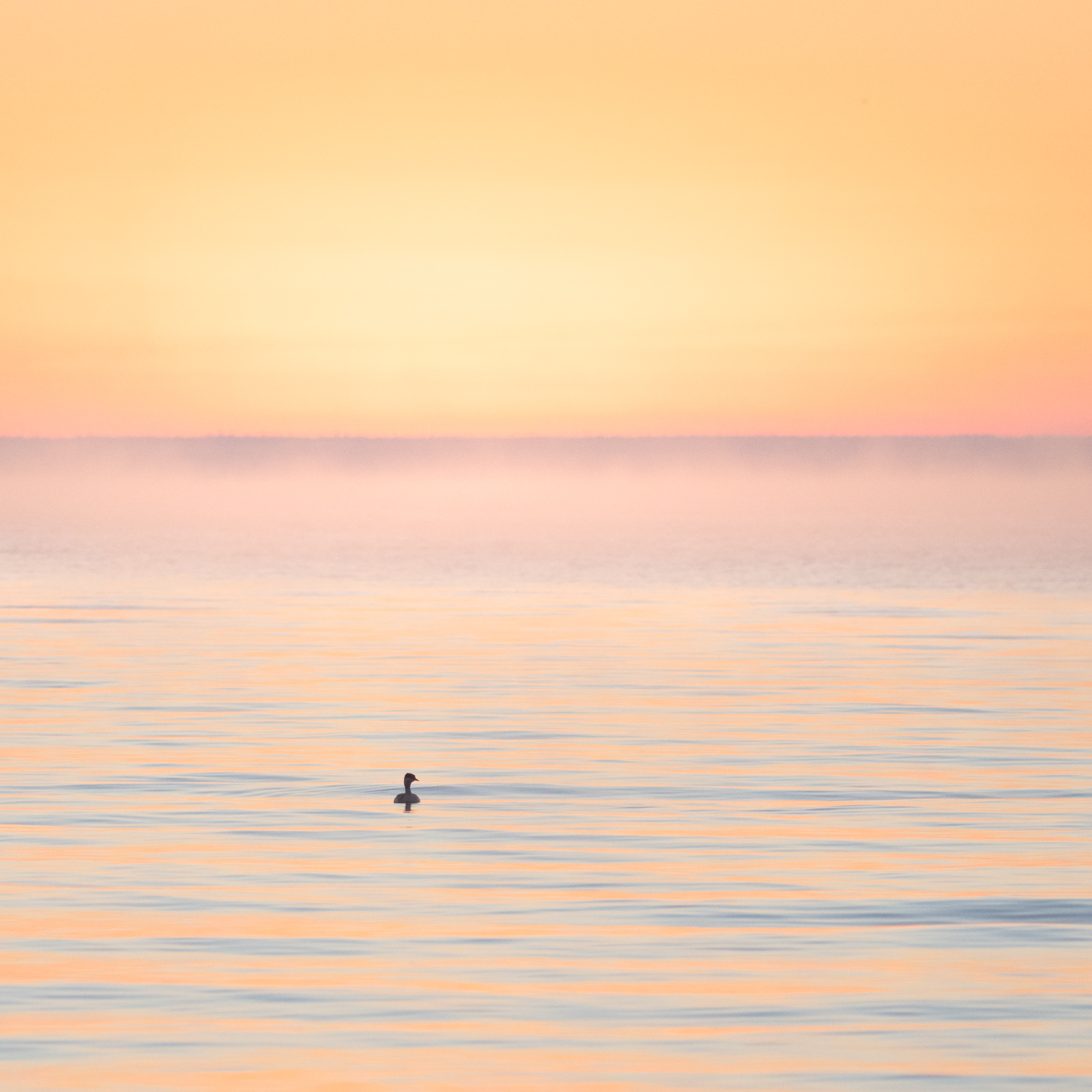 Click image for larger version  Name:	_A265144.jpg Views:	0 Size:	613.6 KB ID:	1035531