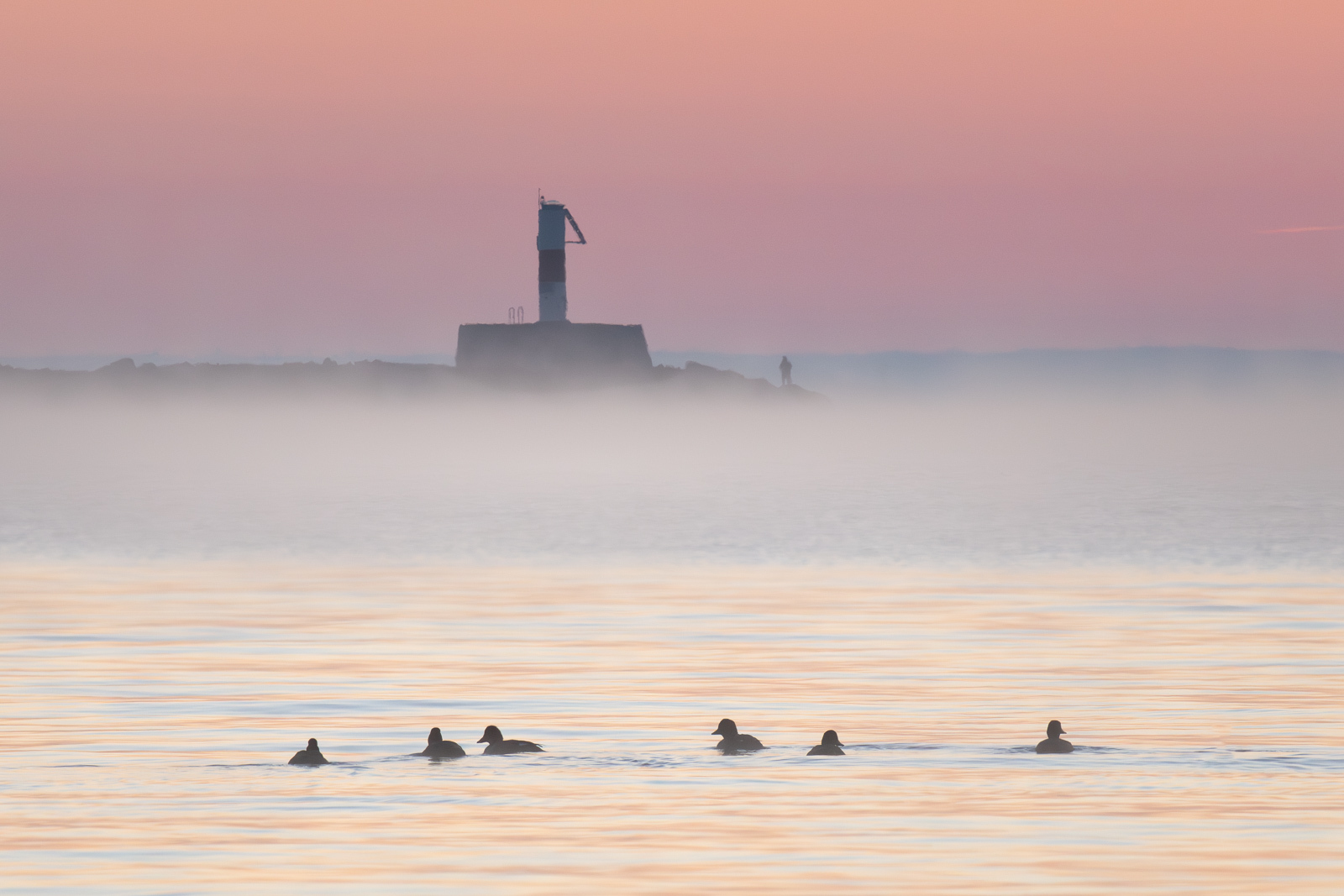 Click image for larger version  Name:	_A264643-Edit.jpg Views:	0 Size:	506.7 KB ID:	1035530