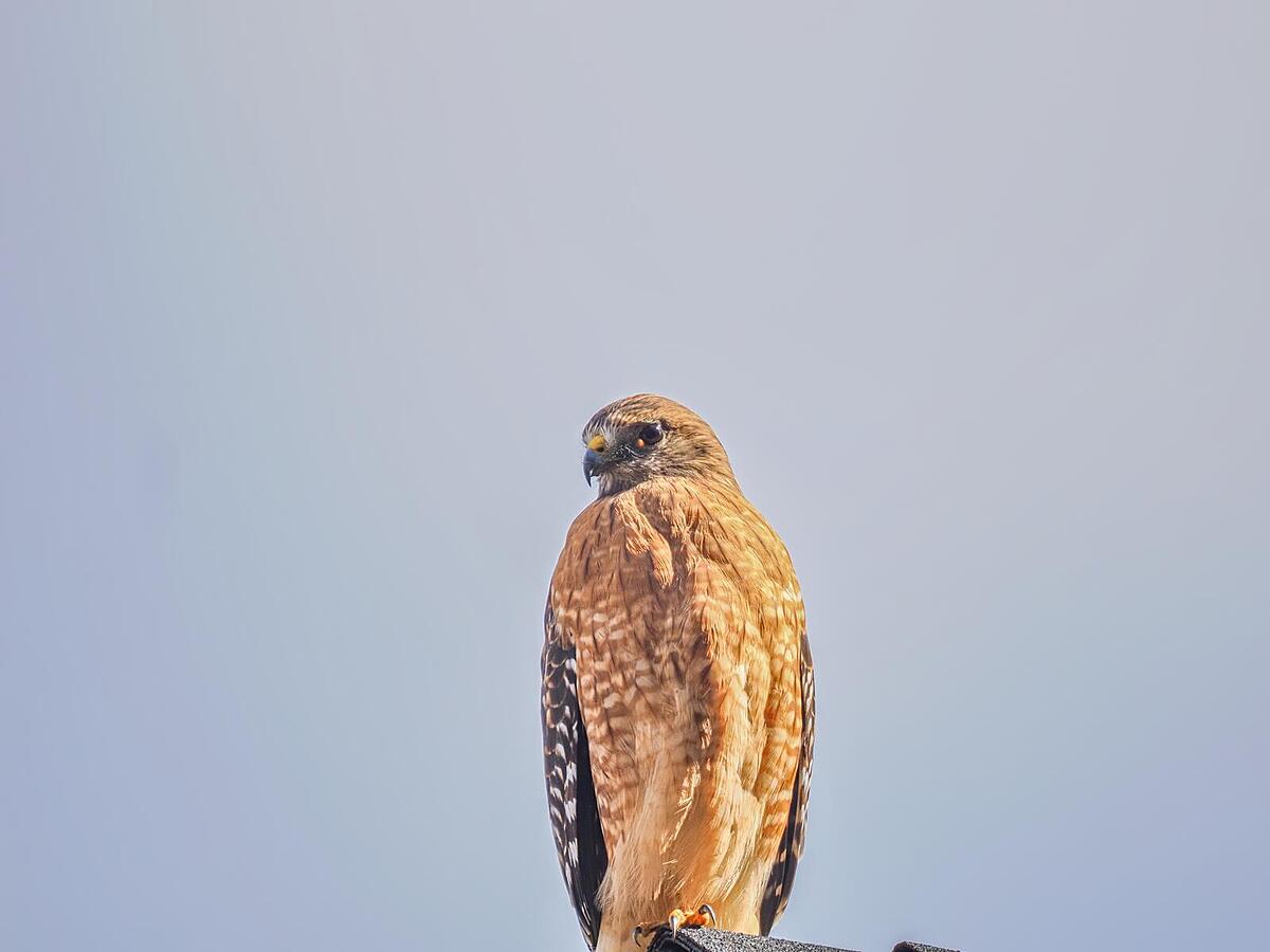 Click image for larger version

Name:	PA302400_filtered.jpg
Views:	46
Size:	97.7 KB
ID:	1035850