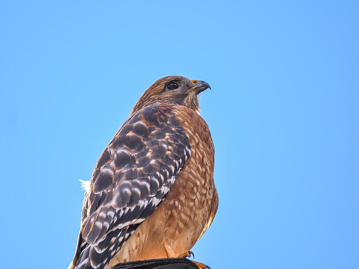 Click image for larger version

Name:	PA302382_filtered.jpg
Views:	46
Size:	127.1 KB
ID:	1035851