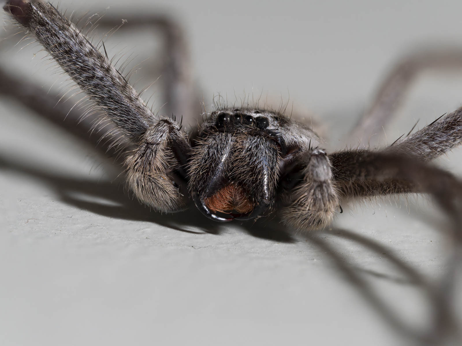 Click image for larger version

Name:	DXOPhotoshop-1.jpg
Views:	307
Size:	934.8 KB
ID:	1036238