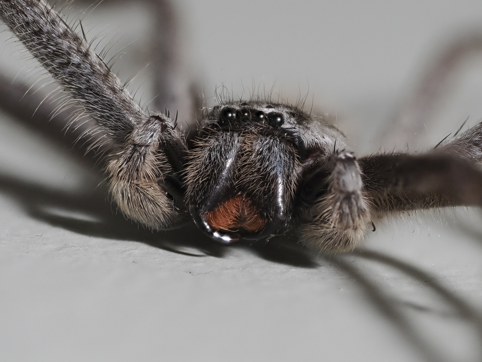 Click image for larger version

Name:	inCamera-1.jpg
Views:	53
Size:	1.05 MB
ID:	1036239