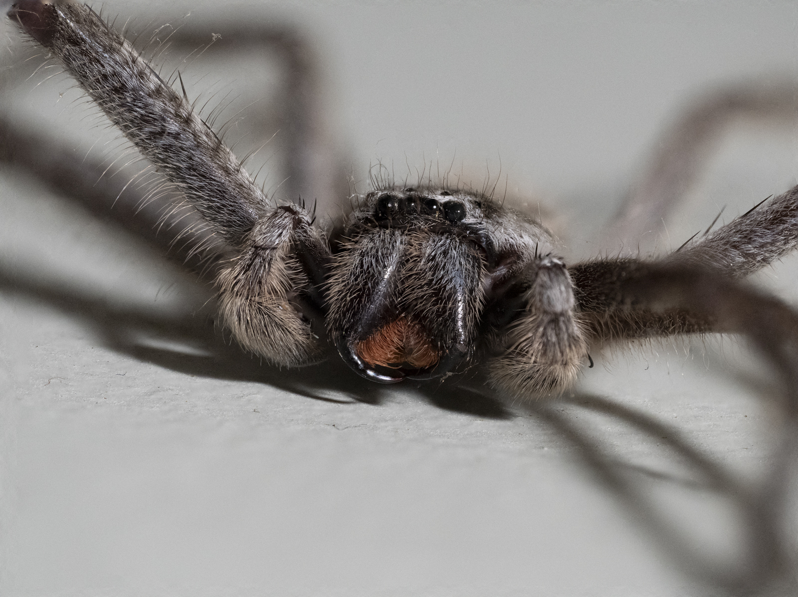 Click image for larger version

Name:	Photoshop-1.jpg
Views:	51
Size:	1.21 MB
ID:	1036240