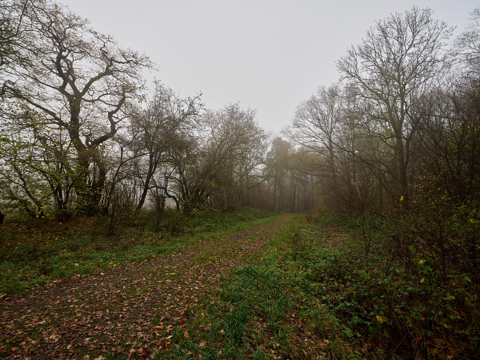 Click image for larger version  Name:	54932991047_3f8f68f48a_k.jpg Views:	0 Size:	645.0 KB ID:	1036935