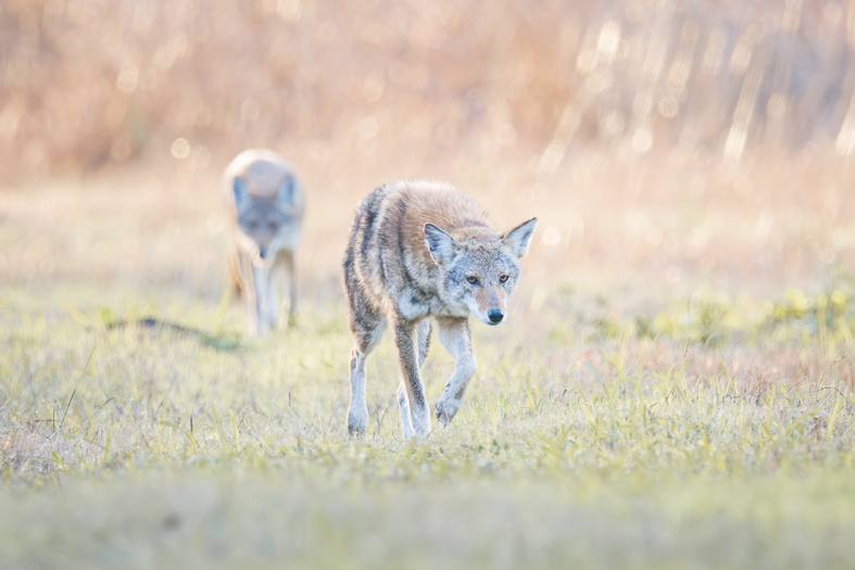 Click image for larger version

Name:	20251130-_B306379.png
Views:	462
Size:	491.5 KB
ID:	1037649