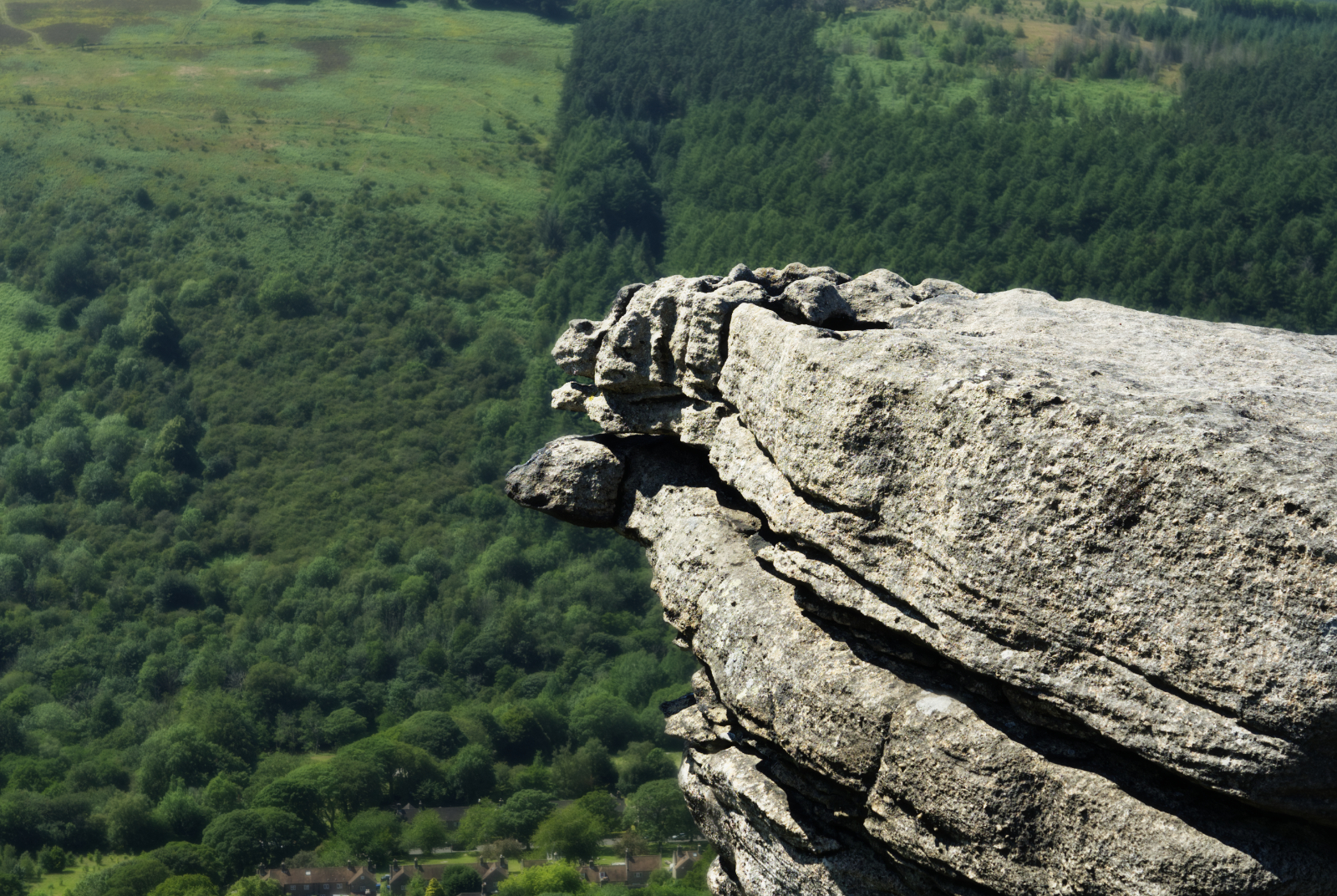 Click image for larger version

Name:	5MK304203monkeys.jpg
Views:	269
Size:	2.20 MB
ID:	1037789