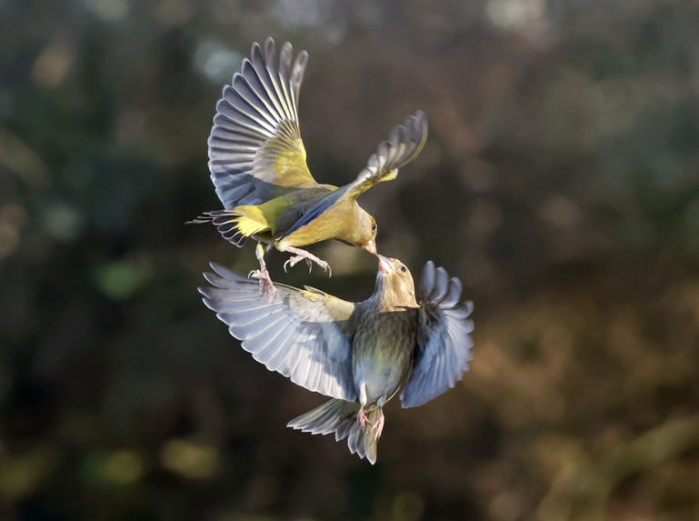 Click image for larger version

Name:	image.png
Views:	198
Size:	540.1 KB
ID:	1037833