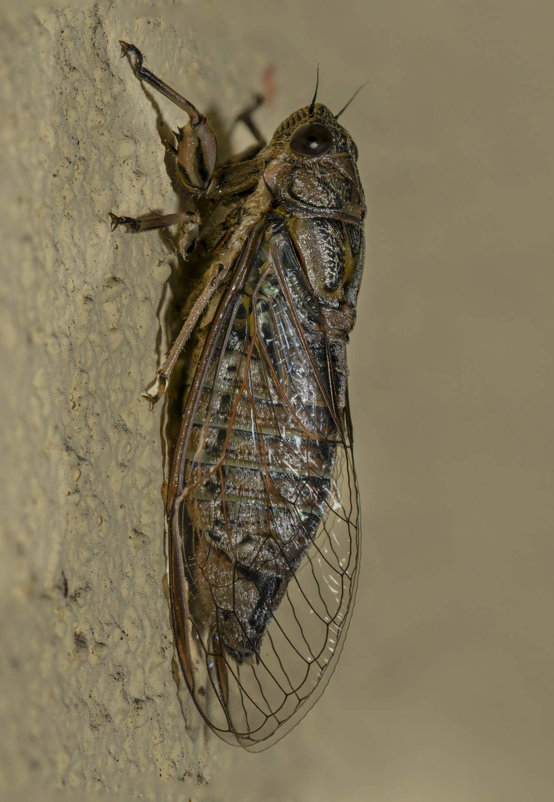 Click image for larger version  Name:	image-1.jpg Views:	0 Size:	1.02 MB ID:	1038640