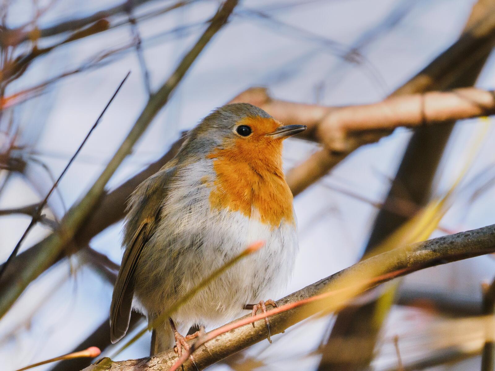 Click image for larger version

Name:	img_1767532907780.jpg
Views:	315
Size:	193.5 KB
ID:	1039978