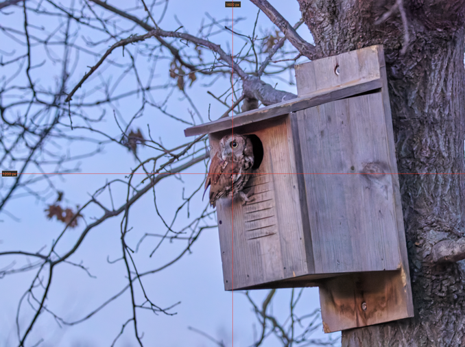 Click image for larger version

Name:	Screenshot 2026-01-15 at 3.58.40 pm.png
Views:	0
Size:	640.7 KB
ID:	1040541