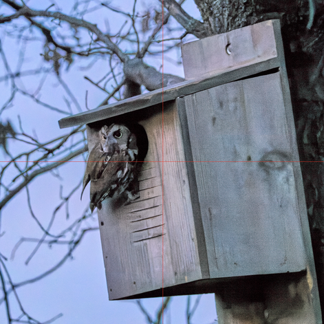 Click image for larger version

Name:	Screenshot 2026-01-15 at 3.59.23 pm.png
Views:	0
Size:	448.6 KB
ID:	1040542