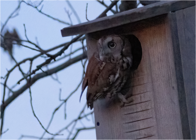 Click image for larger version

Name:	image.png
Views:	0
Size:	522.4 KB
ID:	1040564