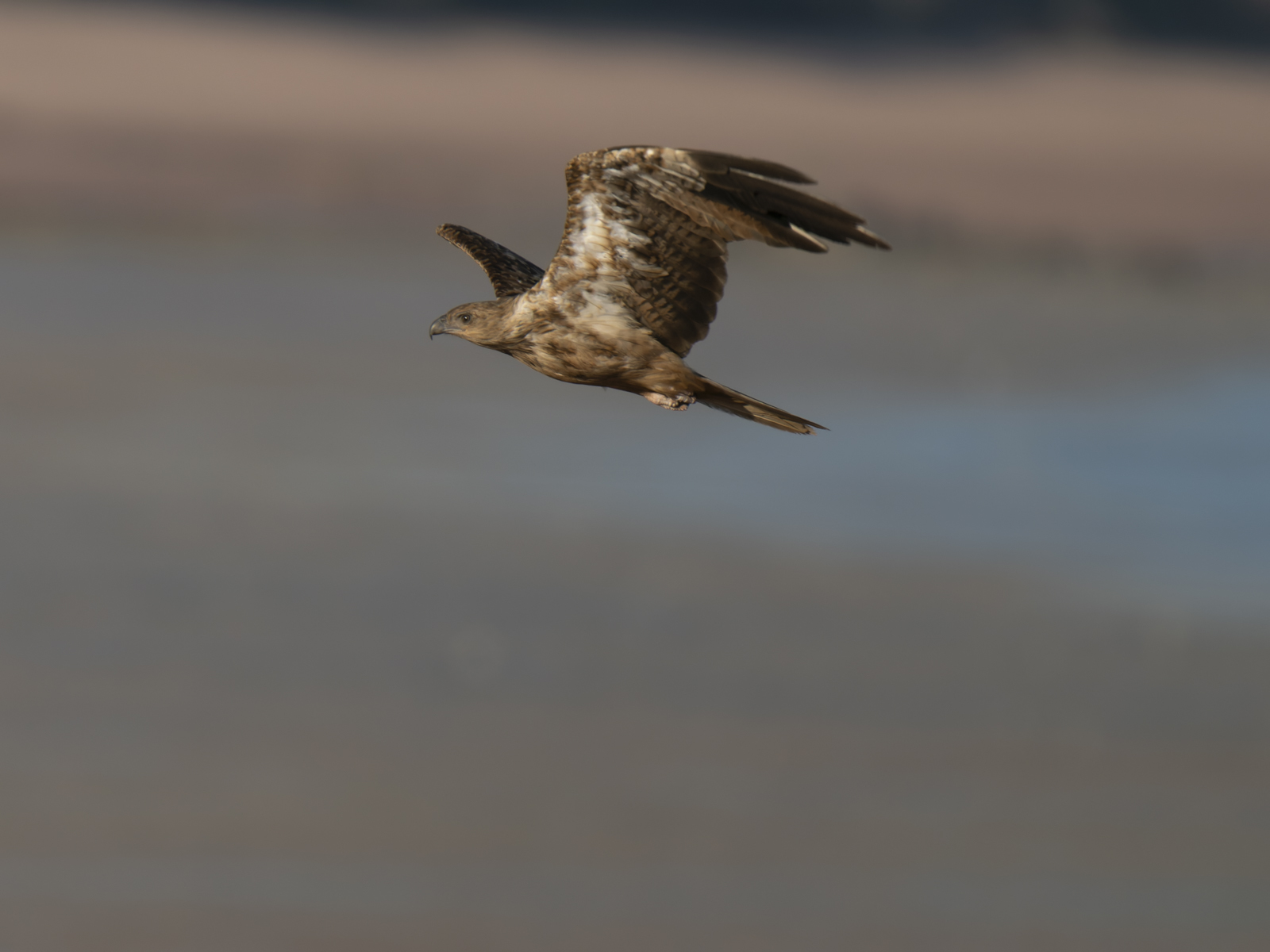 Click image for larger version

Name:	post-18.jpg
Views:	653
Size:	428.9 KB
ID:	1040761