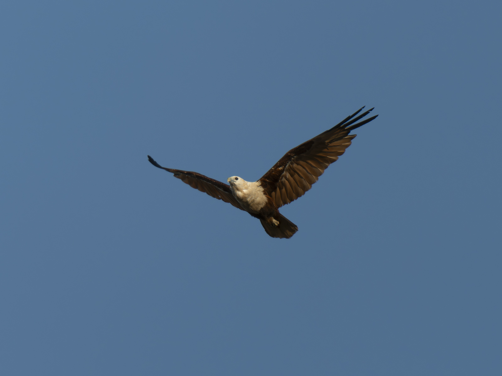 Click image for larger version

Name:	post-21.jpg
Views:	34
Size:	360.8 KB
ID:	1040765