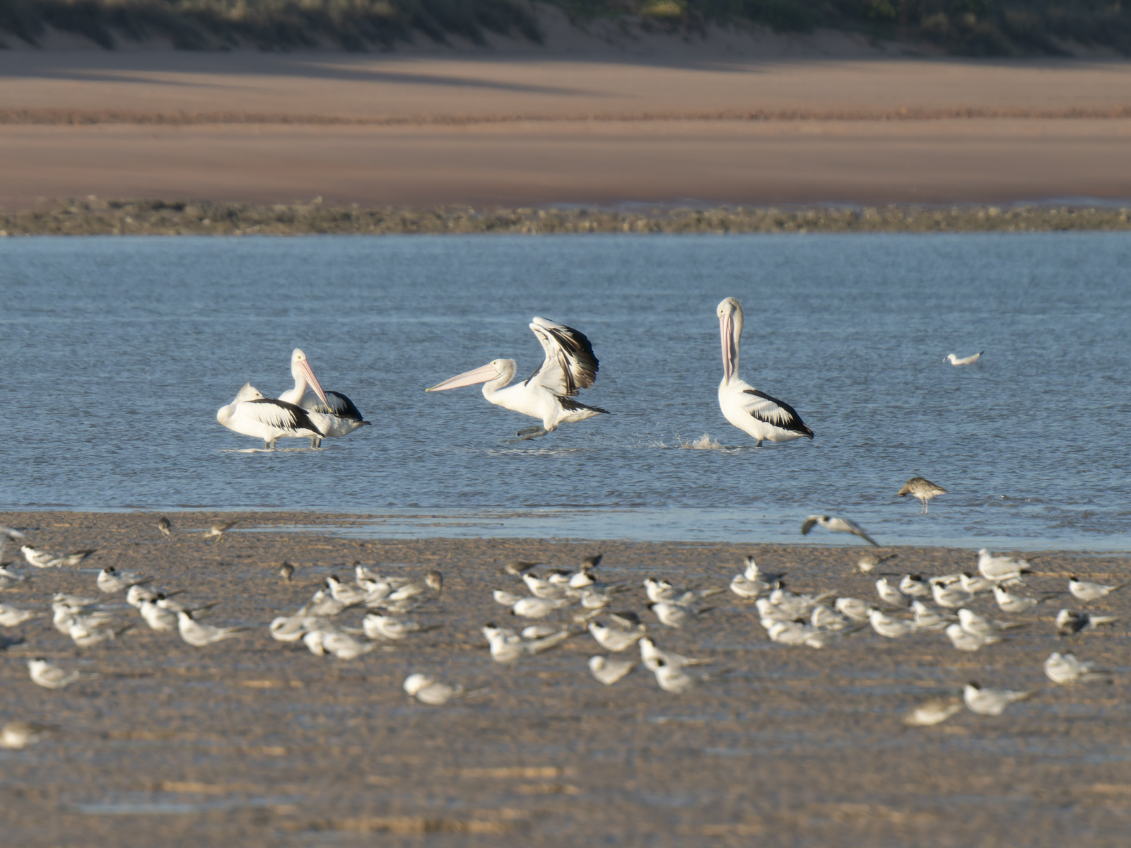 Click image for larger version

Name:	post-24.jpg
Views:	37
Size:	1.01 MB
ID:	1040768