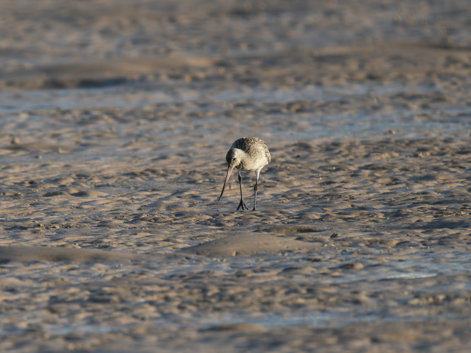 Click image for larger version

Name:	post-22.jpg
Views:	35
Size:	997.9 KB
ID:	1040769