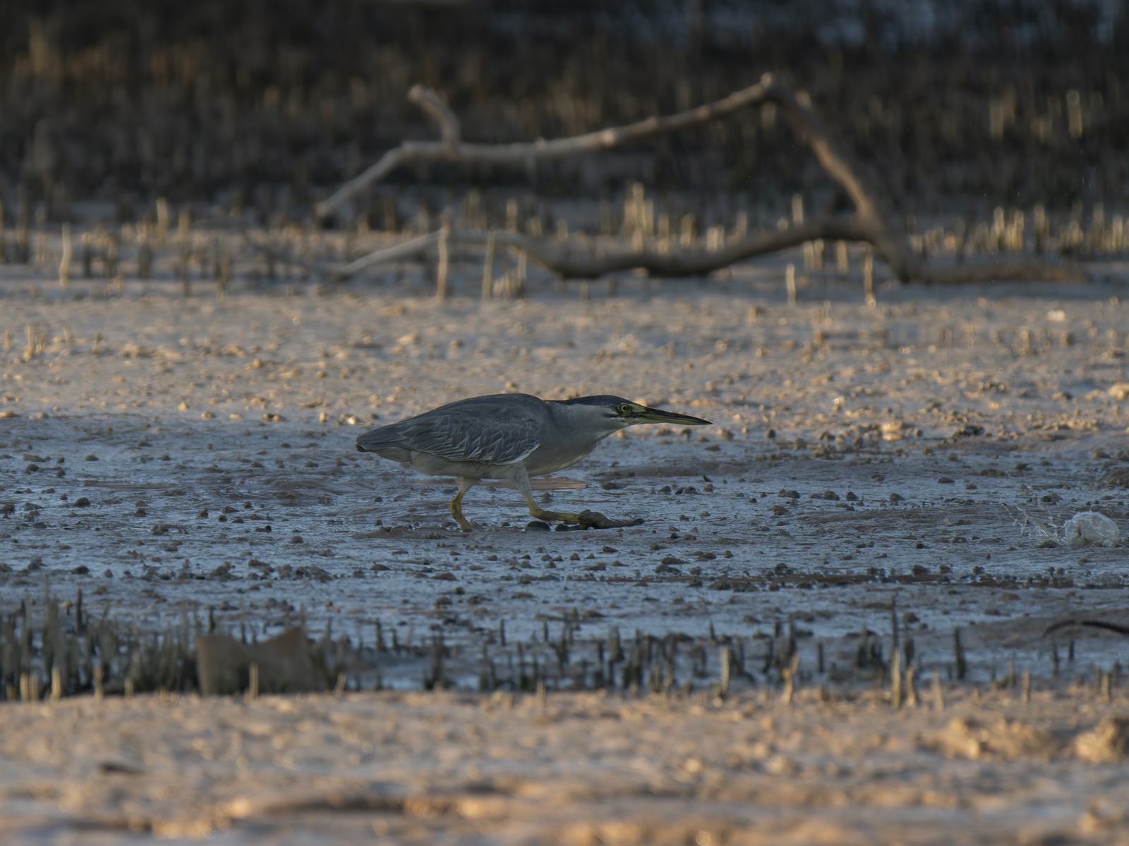 Click image for larger version

Name:	post-20.jpg
Views:	34
Size:	1.02 MB
ID:	1040771