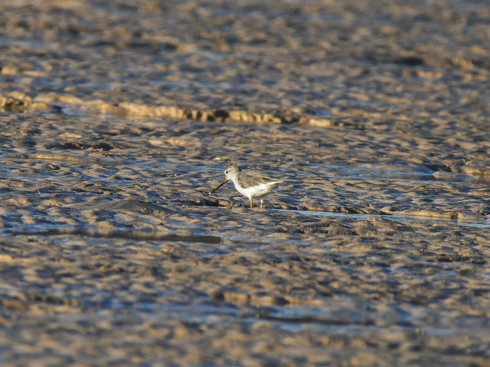 Click image for larger version

Name:	post-23.jpg
Views:	35
Size:	1.14 MB
ID:	1040772