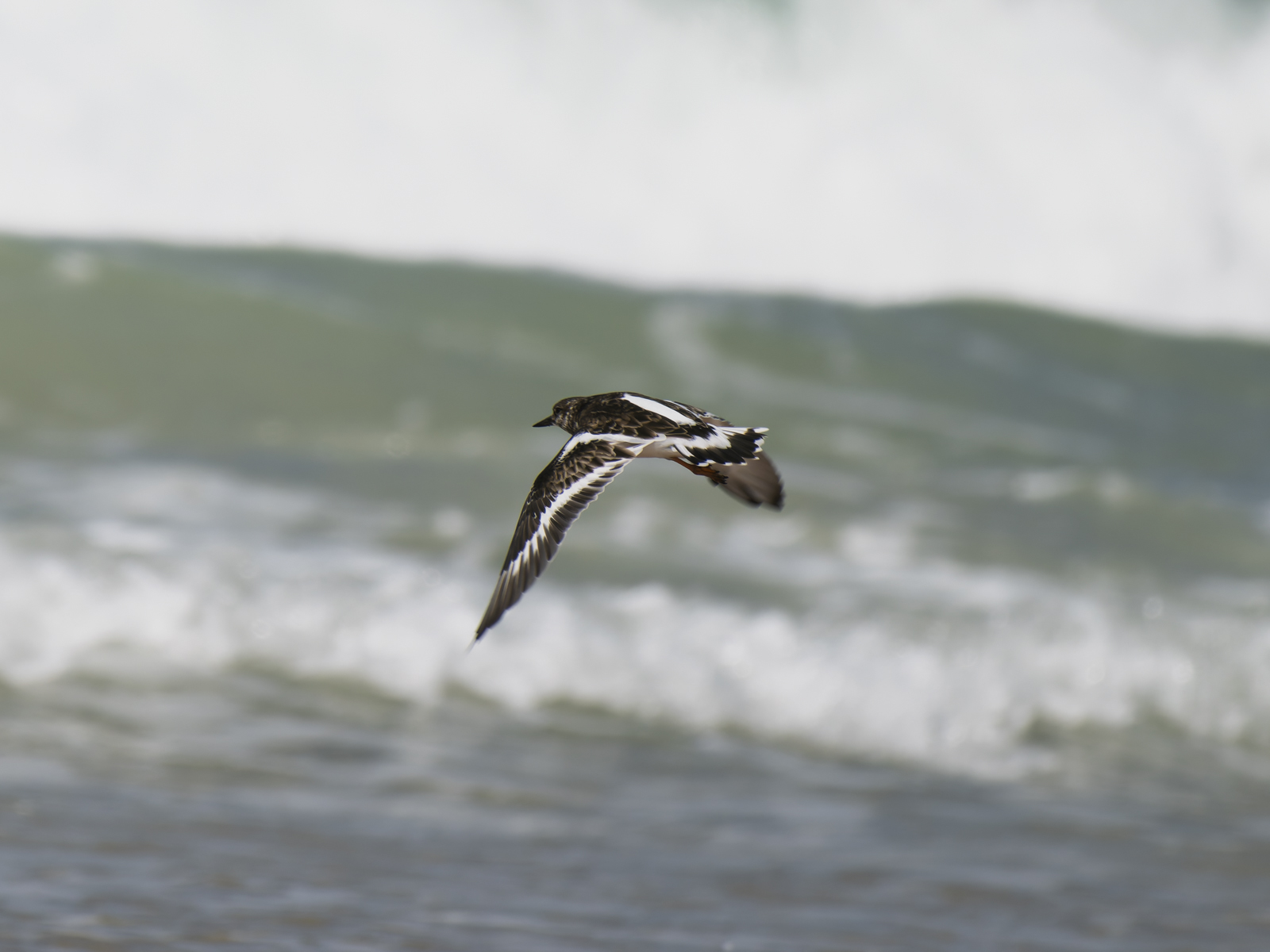 Click image for larger version

Name:	b-1.jpg
Views:	9
Size:	481.5 KB
ID:	1041063