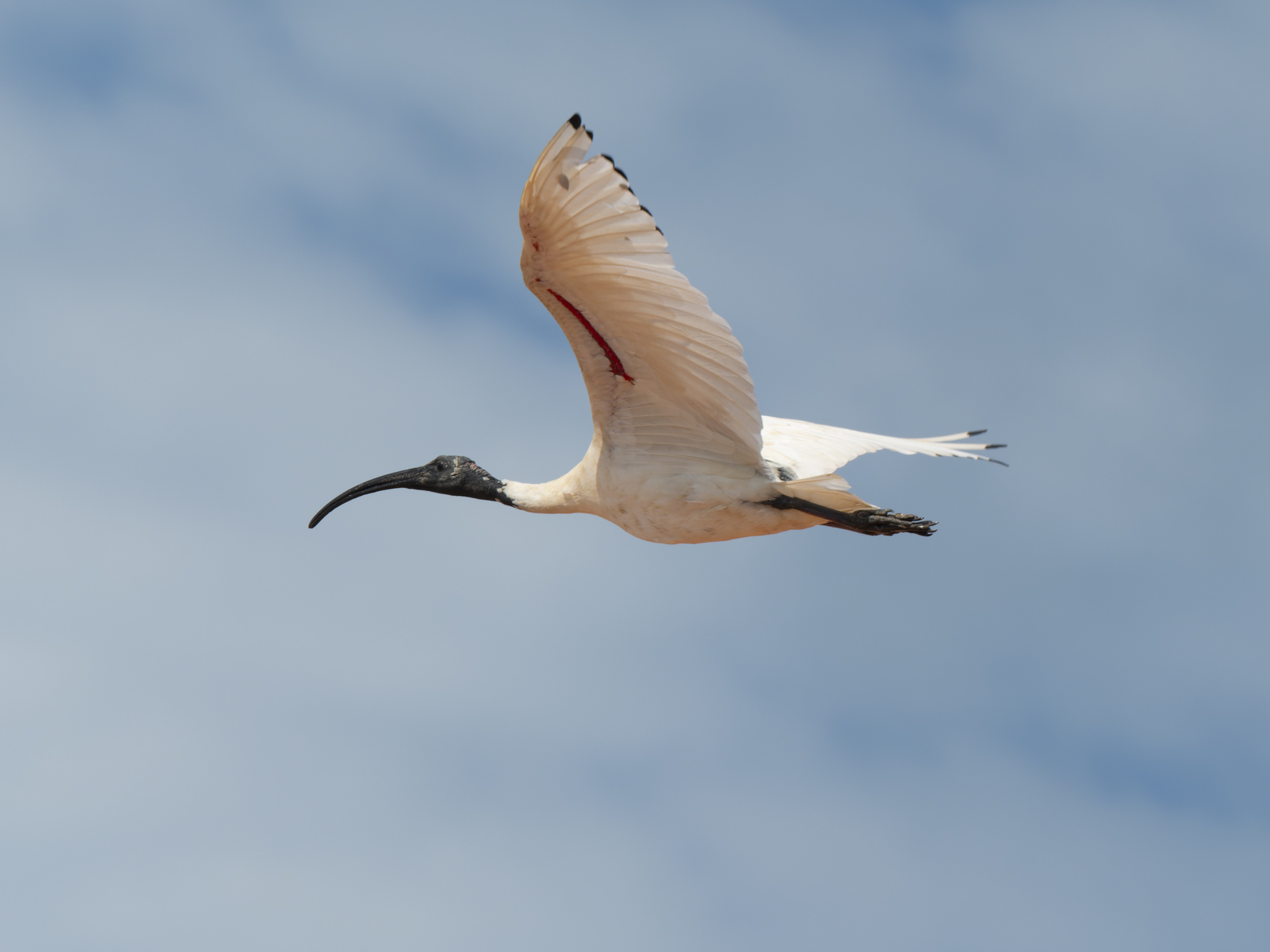 Click image for larger version

Name:	b-7.jpg
Views:	9
Size:	429.8 KB
ID:	1041064