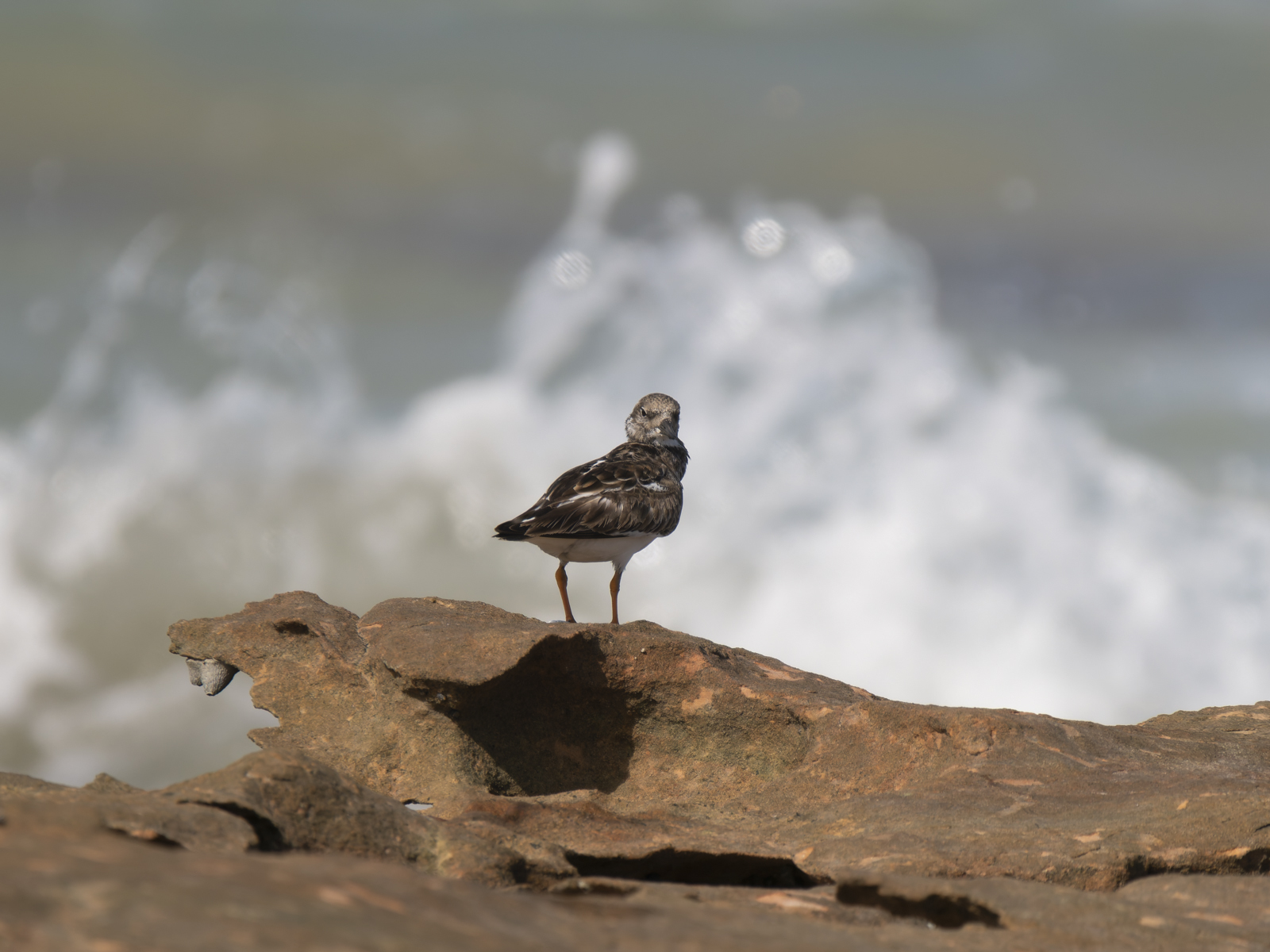 Click image for larger version

Name:	b-4.jpg
Views:	9
Size:	762.8 KB
ID:	1041065