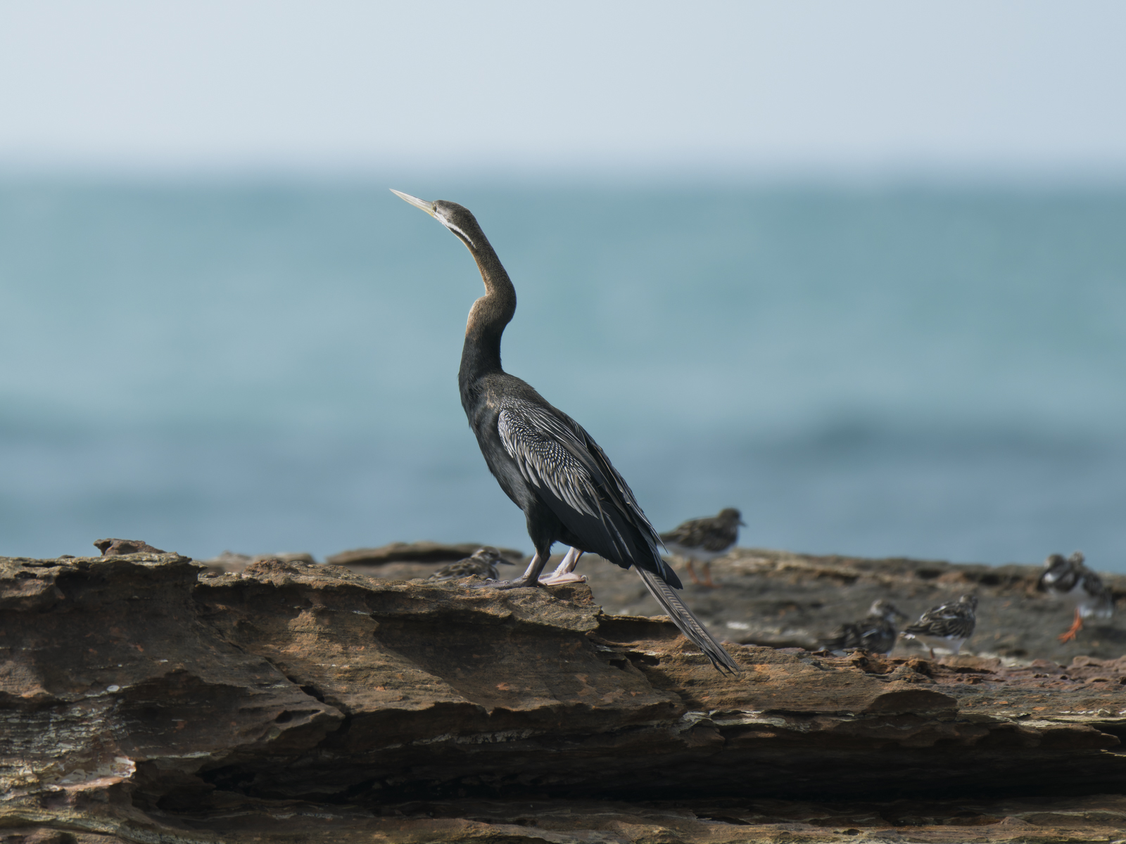 Click image for larger version

Name:	b-2.jpg
Views:	9
Size:	790.6 KB
ID:	1041066