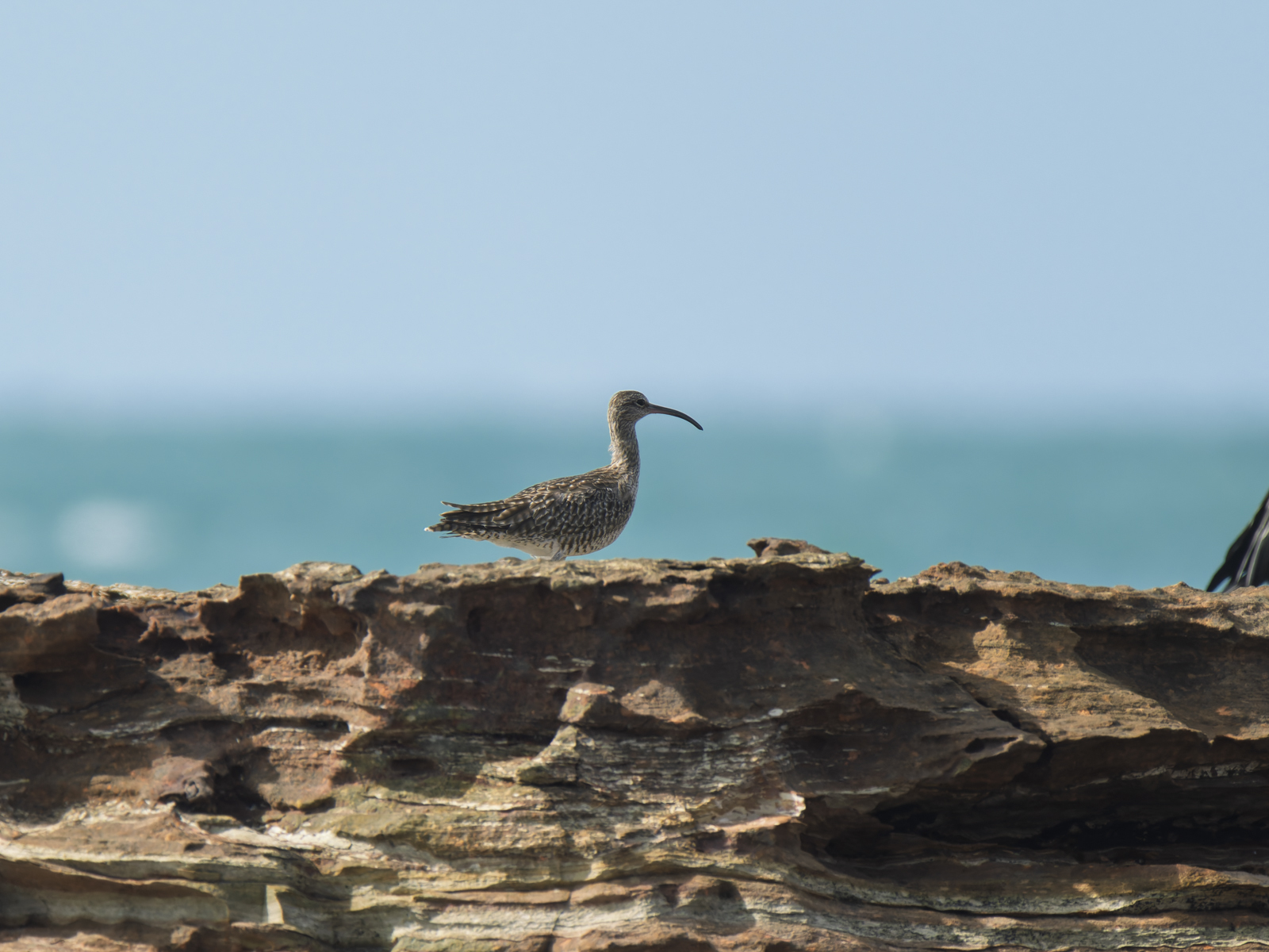 Click image for larger version

Name:	b-3.jpg
Views:	9
Size:	819.6 KB
ID:	1041069