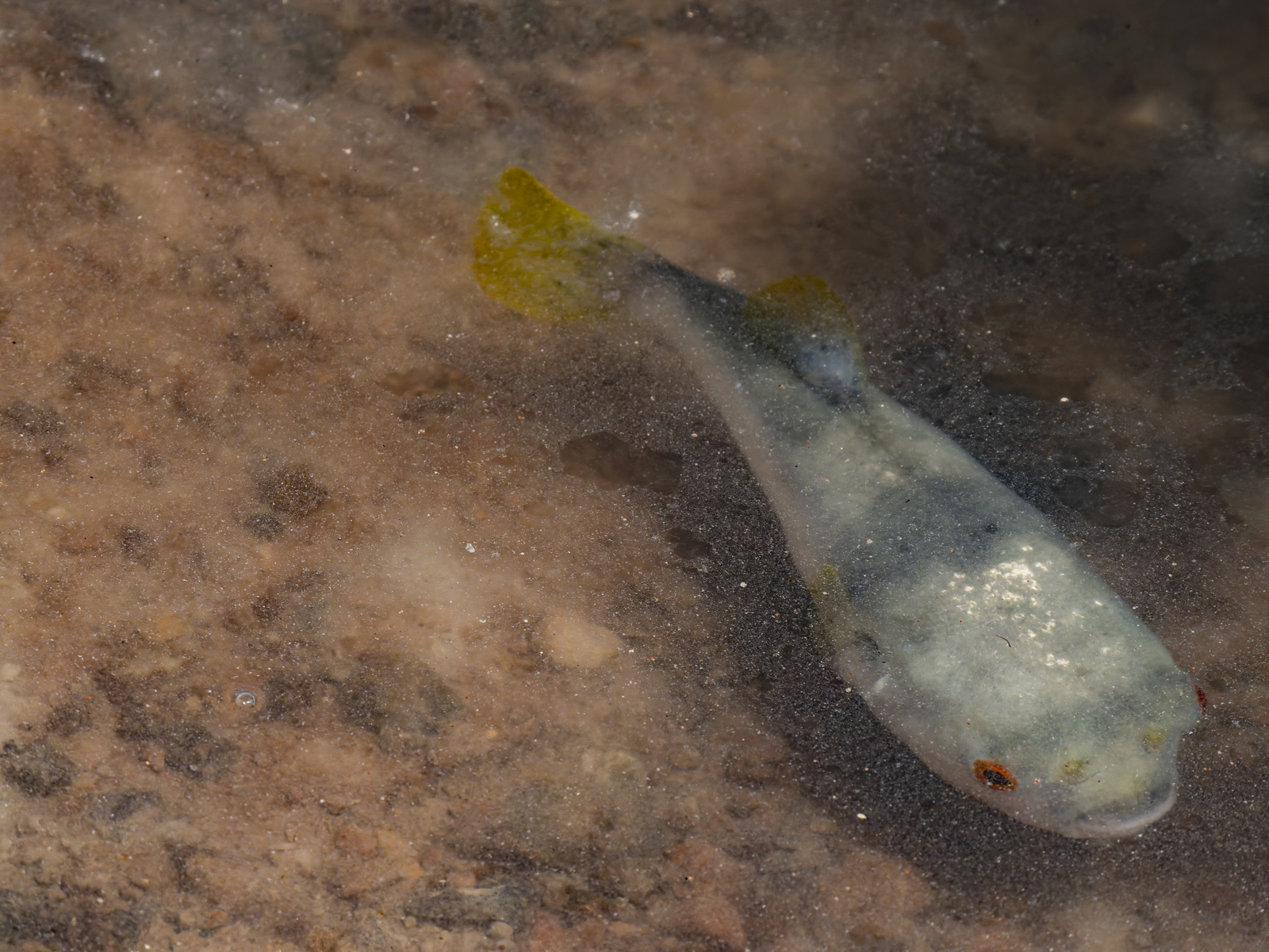 Click image for larger version

Name:	b-10.jpg
Views:	8
Size:	1.27 MB
ID:	1041071