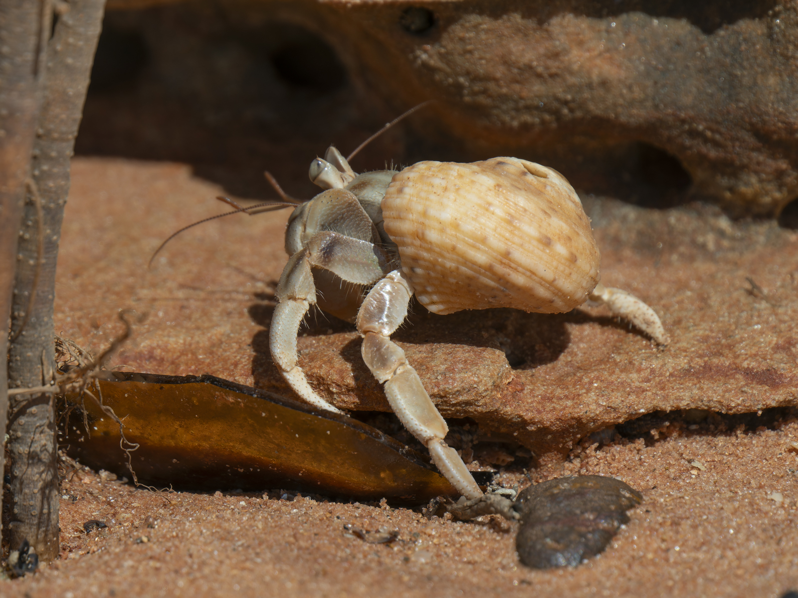 Click image for larger version

Name:	b-8.jpg
Views:	10
Size:	1.27 MB
ID:	1041072