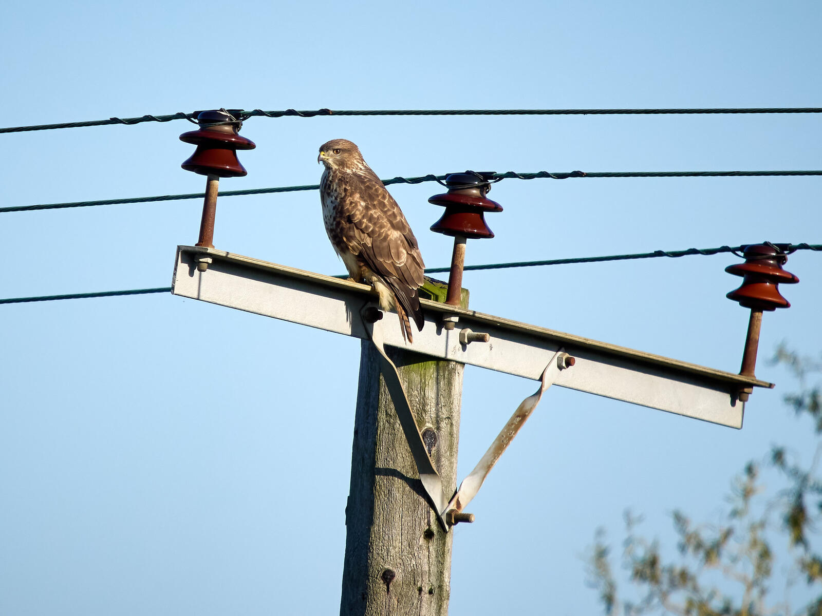 Click image for larger version  Name:	55018560364_36b2c1a40f_k.jpg Views:	0 Size:	167.9 KB ID:	1041361