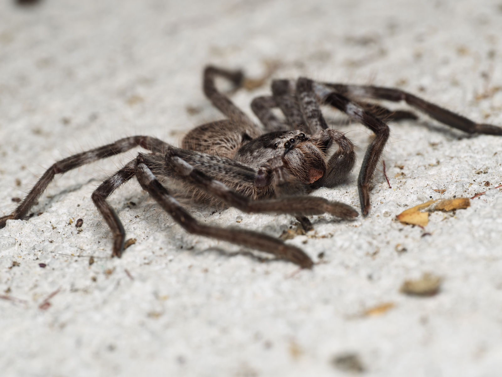 Click image for larger version

Name:	p-2.jpg
Views:	47
Size:	885.4 KB
ID:	1041418