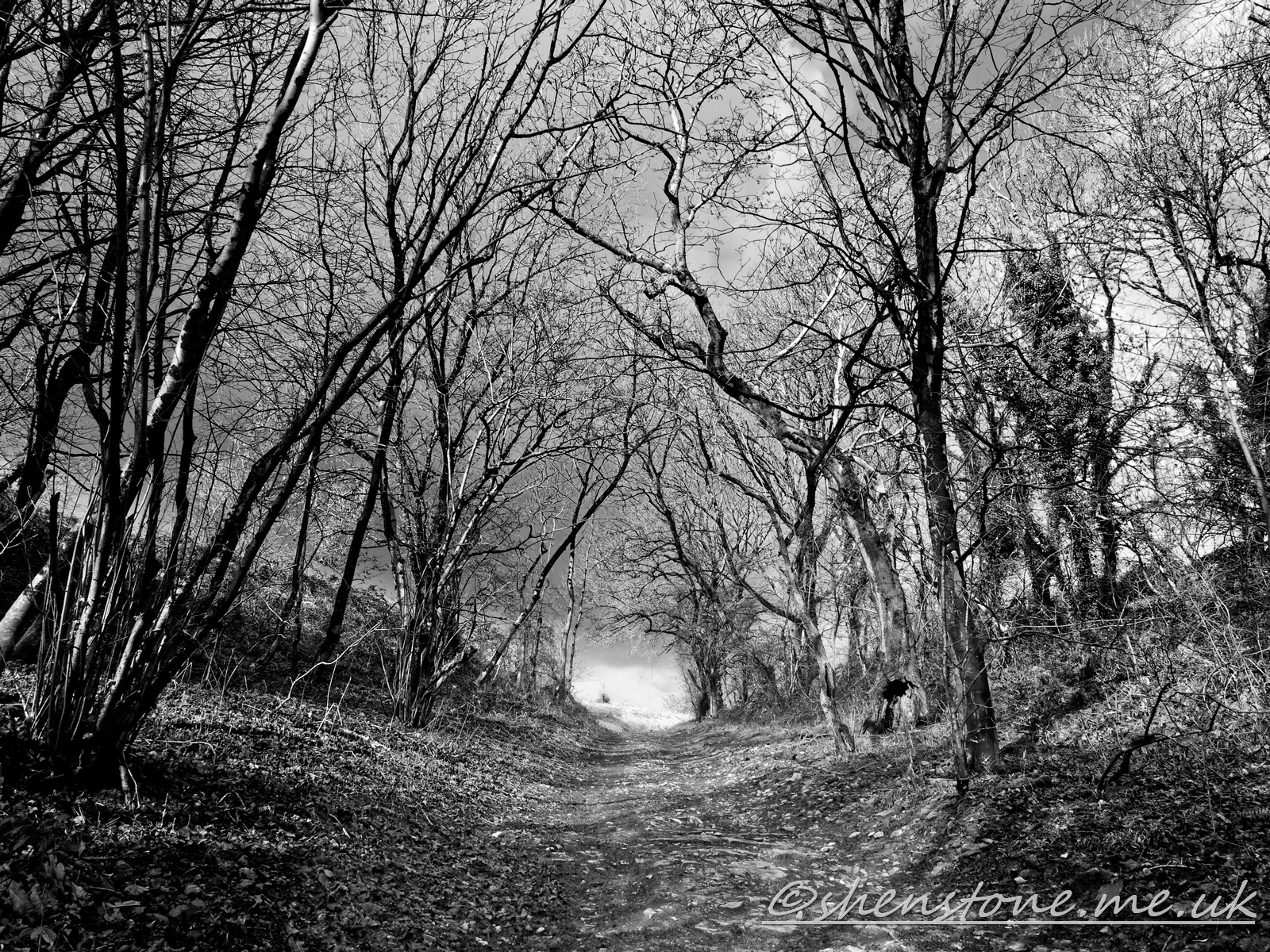 Click image for larger version

Name:	Merthyr Mawr_00001.jpg
Views:	74
Size:	1.29 MB
ID:	1041467